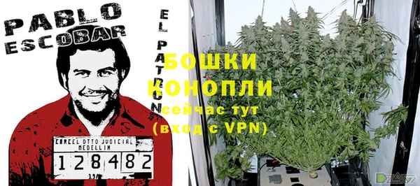 молекула духа Няндома